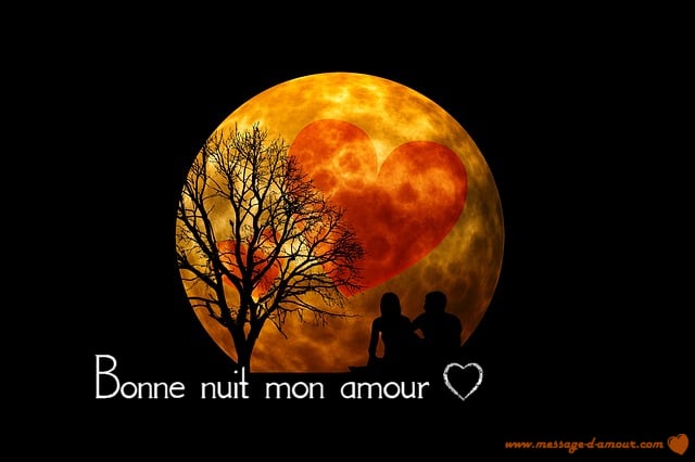 Messages De Bonne Nuit Romantiques Message D Amour